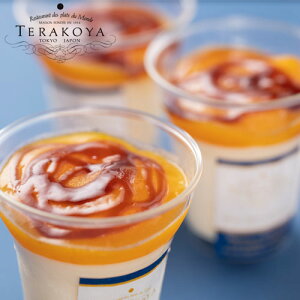 TERAKOYAďC Z}S[v 6Zbg Mtg i 蕨 XC[c fU[g ؉َq wwsxwsxwiꕔn揜jx