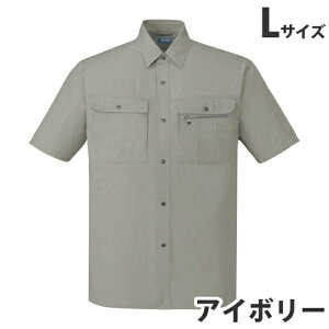 100VcitėpjL AC{[ 45614 ƕ ƒ jz[ Ȃ d  ysz