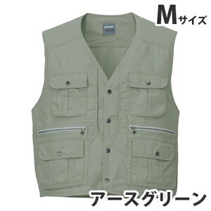 100xXgitėpjM A[XO[ 45610 ƕ ƒ jz[ Ȃ d  ysz