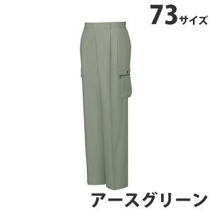 100c[^bNJ[Spcitėpj73 A[XO[ 45602 ƕ ƒ jz[ Ȃ d  ysz