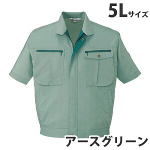 Xgb`u]itėpj5L A[XO[ 45910 ƕ ƒ jz[ Ȃ d  yszyiꕔn揜jz