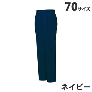 Xgb`c[^bNpcitėpj70 lCr[ 45901 ƕ ƒ jz[ Ȃ d  wsxwiꕔn揜jx