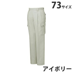 Xgb`c[^bNJ[Spcitėpj73 AC{[ 45902 ƕ ƒ jz[ Ȃ d  wsxwiꕔn揜jx