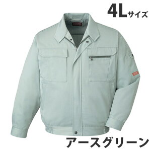 T/Cu]iH~pj4L A[XO[ 42000 ƕ ƒ jz[ Ȃ d  yszyiꕔn揜jz