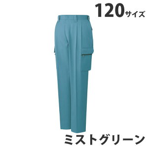 T/Cc[^bNJ[SpciH~pj120 ~XgO[ 42002 ƕ ƒ jz[ Ȃ d  ysz