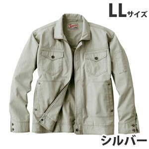 Jawin100Wp[itėpjLL Vo[ 55000 ƕ ƒ jz[ Ȃ d  yszyiꕔn揜jz