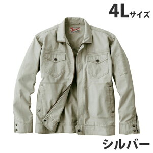 Jawin100Wp[itėpj4L Vo[ 55000 ƕ ƒ jz[ Ȃ d  yszyiꕔn揜jz