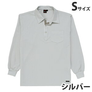 z|VciʔNpjS Vo[ 85204 ƕ ƒ jz[ Ȃ d  yszyiꕔn揜jz