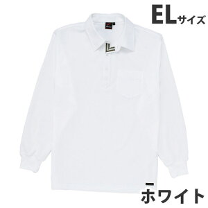 z|VciʔNpjEL zCg 85204 ƕ ƒ jz[ Ȃ d  yszyiꕔn揜jz