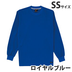 zTVciʔNpjSS Cu[ 85224 ƕ ƒ jz[ Ȃ d  yszyiꕔn揜jz