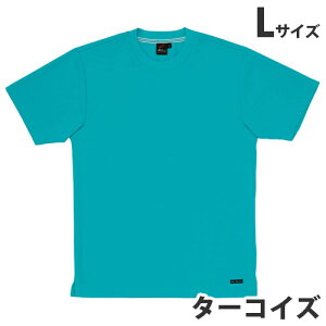 zTVcitėpjL ^[RCY 85234 ƕ ƒ jz[ Ȃ d  yszyiꕔn揜jz