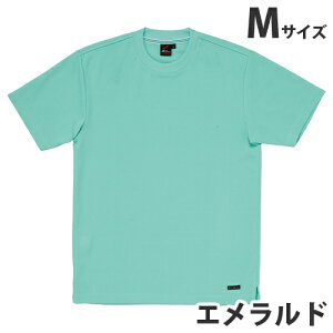 zTVcitėpjM Gh 85234 ƕ ƒ jz[ Ȃ d  yszyiꕔn揜jz