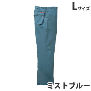 100hpc L ~Xgu[ 48091 ƕ ƒ jz[ Ȃ d  yszyiꕔn揜jz