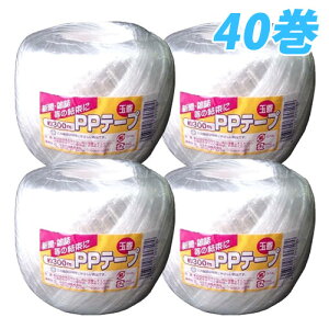 בpPPЂ  ʊ300m Ɩp 40yiꕔn揜jz