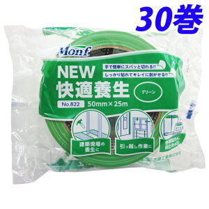 ÓH Monf NEWK{ {e[v 50mm×25m O[ 30 No.822wiꕔn揜jx