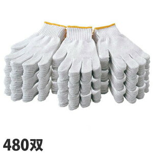 R 480o 7Q[W 600g Ɩp ܂Ƃߔwiꕔn揜jx