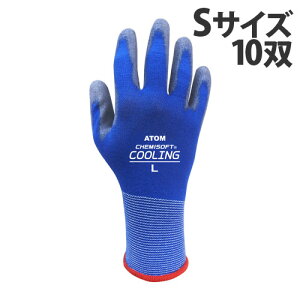 Ag w P~\tg N[O STCY 10o 1498 S ׂ~ߎ ׂ~  R ʋC u z 