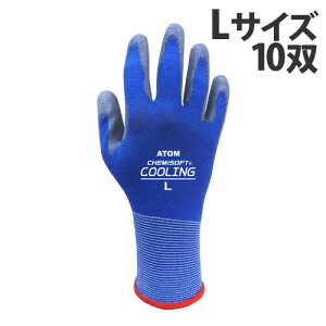 Ag w P~\tg N[O LTCY 10o 1498 S ׂ~ߎ ׂ~  R ʋC u z 