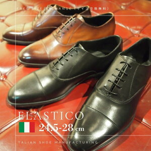 rWlXV[Y {v Y C Elastico GXeBR 5KS C^A ubN uE ʋ H tH[} vC Xg[g`bv  rWlXJWA L v b 傫T