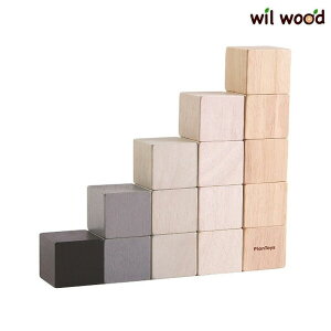 知育玩具 15キューブ 1歳誕生日プレゼント 1歳半 おもちゃ 入園祝い プレゼント 男の子 女の子 木のおもちゃ 木製玩具 ギフト 誕生祝い クリスマス PLANTOYS プラントイ 5374