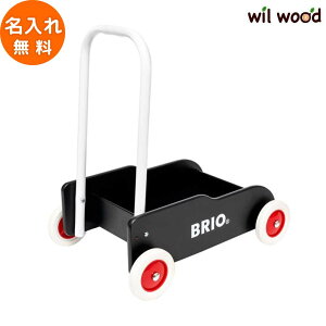 oYj 艟 (ubN) 0 9 q j̎q ̎q a v[g ؂̂ ؐߋ  BRIO uI 31351