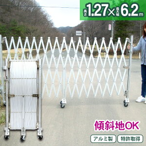 EXG1260 1.27×6.0m A~Q[g XΒnΉ LX^[Q[g NXQ[g A~ A}bNX ݃Q[g LkQ[g WoQ[g A~tFX Lk  ЊJ J tF