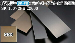 ���^�J���[���� [T] SK-FB�t���b�g�o�[���F�^�C�v(�w�A�[���C��) SK-150X2FB L2600 GDH(�S�[���h�w�A�[���C��) �ϐ����� �����20�� [�ƎҌ���]
