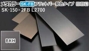 ^J[ [T] SK-FBtbgo[F^Cv(wA[C) SK-150X2FB L2700 BKH(ubNwA[C) ϐ 10 [ƎҌ]