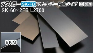 ���^�J���[���� [T] SK-FB�t���b�g�o�[���F�^�C�v(����) SK-60X2FB L2700 BKM(�u���b�N�~���[) �ϐ����� �����10�� [�ƎҌ���]