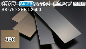 ���^�J���[���� [T] SK-FB�t���b�g�o�[���F�^�C�v(�w�A�[���C��) SK-75X2FB L2600 GDH(�S�[���h�w�A�[���C��) �ϐ����� �����20�� [�ƎҌ���]