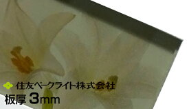 住友 ポリカ ブルースモーク 3mm 7,820円/1平米（最大寸法1250mmx3300mm）ECK941UU 両面耐候 住友ベークライト ポリカエース ポリカーボネート板 タキロン 同等 55,000円以上送料無料 無料カット ポリカーボネート カーポート サンルーム チェアマット 個人宅配送可 置き配可