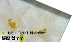 ZF |J NA }bg Ж 6mm 15,010~/1 ECK100SUU ʑό ZFx[NCg |JG[X |J[{l[g J[|[g lz uz