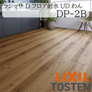 LIXIL   t[O VbT DtAϐUD DP-2B 6 1 tH[ ϐ ybg σAjA RSIAA ɂ