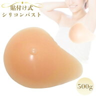 シリコンバスト 粘着 貼付式 人工乳房 術後 バスト補正 女装 コスプレ 全摘パット シリコンパッド おっぱ…