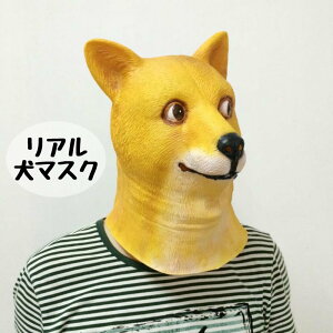 Aj}}XN   蕨  RXv   ObY Ԃ }XN  RX`[