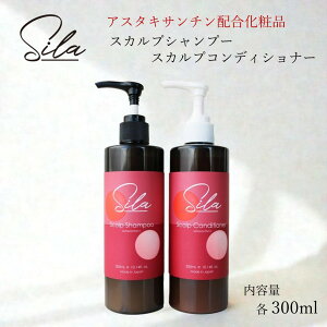 yAX^LT`zzV XJvVv[ XJvRfBVi[ / Pi2{Zbg wAPA ێ PA 