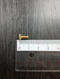 真鍮素地皿小ネジ皿ビスマイナス頭マイナスネジ10本500円(送料別）