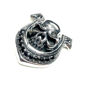  ALZUNI AYj Vo[ R` XJ WR WRjA CZ 950 Y fB[X {^  킢 IWi Vo[ANZT[ JX^}CY JX^ V