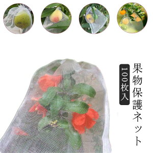 ʕ یlbg h lbg ʕیlbg 100 ʎphlbg В ʋC bV 悯lbg 悯lbg ʕیobO ʎ C`S 悯 悯 JX΍ Q