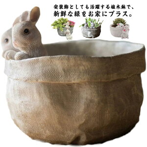 コケリウム 多肉植物鉢 植木鉢 プランター 可愛い ミニ 鉢 母の日 苔リウム 多肉 箱庭 動物 おしゃれ サボテン 多肉植物 寄せ植え 置物 装飾用 多肉植物鉢 インテリア かわいい 樹脂 容器 卓