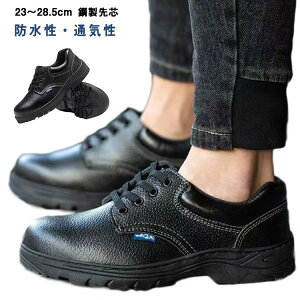 ʋC SC Bݔh~ SC Y y |c H ~ Xj[J[ Z[teB[V[Y ϖ jp H  ܐی SC R^Cv [Jbg 