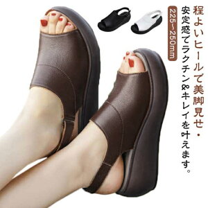  T_ Ȃ r U[T_ U[C C q[ T_ EGbW\[ JWA fB[X X|T  ₷ r Xgbv   