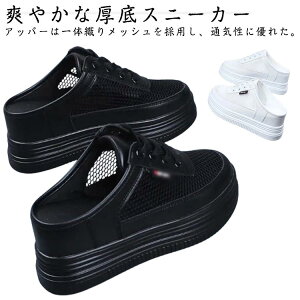 bVXj[J[ fB[X ƂȂXj[J[ ʋC  T_ T{T_ Xj[J[ bV [Jbg [t@[ ƂȂV[Y Xb| ʋC y  