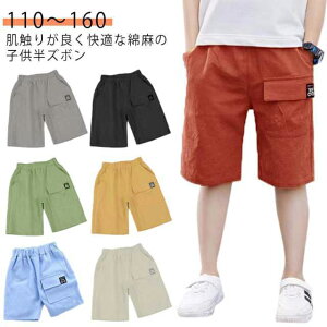 n[tpc LbY J[Spc q Y{ n pc Ȗ   K EGXgS j̎q  [EFA WjA ʉ  Ǝ ĕ ĕ ʊw {[CY V