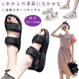 X|[cT_ T_ xN fB[X V[Y Xj[J[ r[`T_ y y ʋC r EH[LOV[Y wlC ₷ ~ Vv JWA