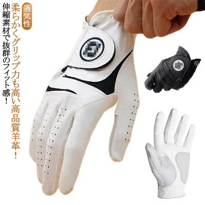 O[u amp U[ \tgObv 23 jp StO[uY St St  rv  U[ {vO[u lC U[O[u {v St VRrv XL 