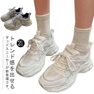 _bhXj[J[ Xj[J[ fB[X Xj[J[  V[Y r [XAbv V[NbgV[Y ؍ q[3cm C  JWA ₷  _bhV