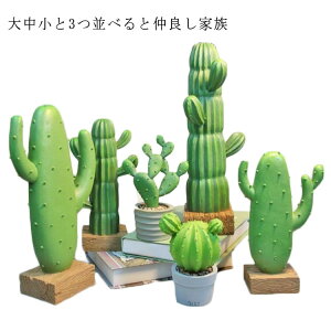 新築祝い サボテンの人気商品 通販 価格比較 価格 Com