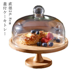 a24.8cm KX EbhP[LX^h ؐP[LX^h 11cm W ؐ ɎqW P[Lg[ fBXvC a24.8cm t 킢  P[LgC  Lb` Wt