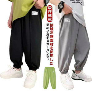 C[W[pc JWA WjA qǂ ʋC ڐG⊴ LbY o Ђ 160  Y{ q w WK[pc ⊴pc 悯pc  q j̎q